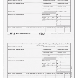 W2 Employee Copy 2 (state city local)