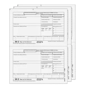 Traditional W-2 Form 3-part E-file Set (Preprinted)